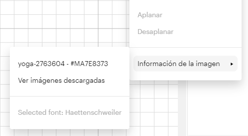 Información de la imagen en Cricut Design Space